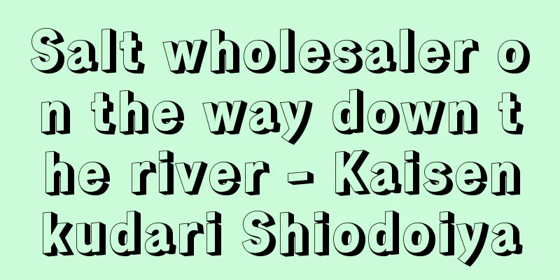 Salt wholesaler on the way down the river - Kaisenkudari Shiodoiya