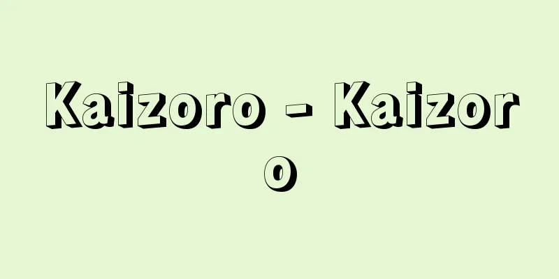 Kaizoro - Kaizoro
