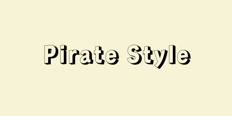 Pirate Style