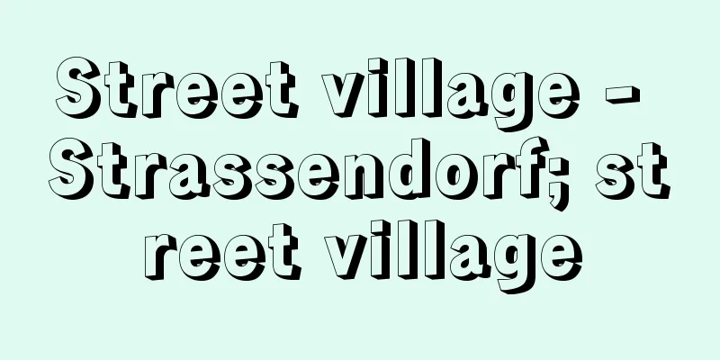 Street village - Strassendorf; street village