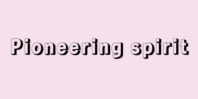 Pioneering spirit