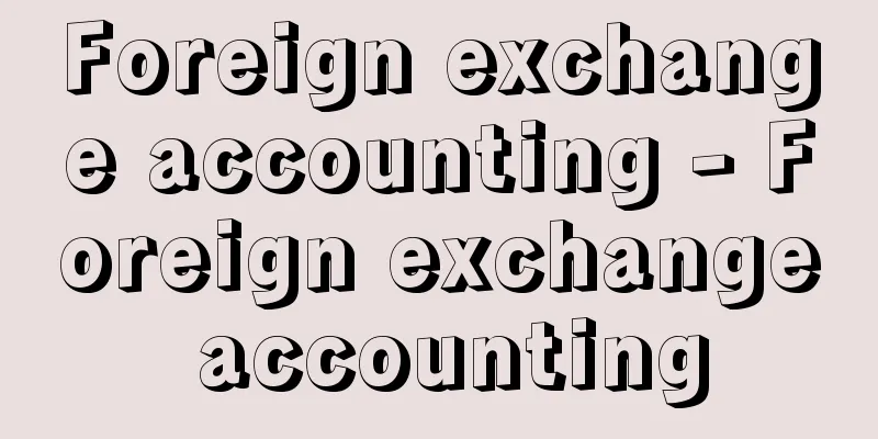 Foreign exchange accounting - Foreign exchange accounting