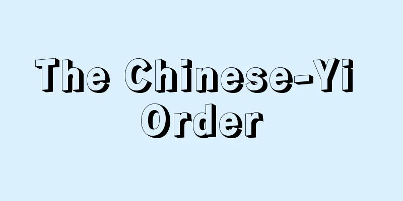 The Chinese-Yi Order