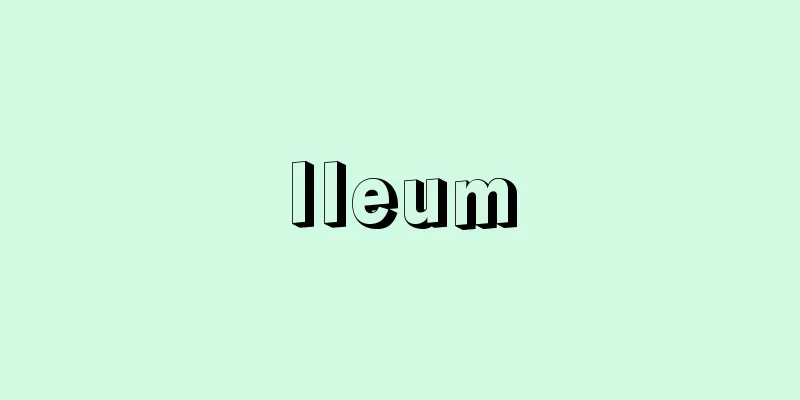 Ileum