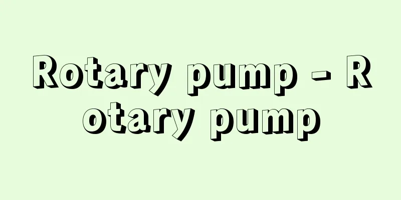 Rotary pump - Rotary pump