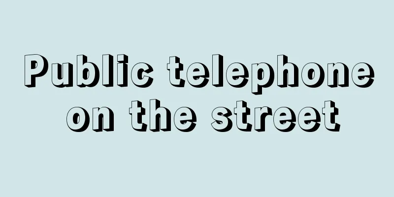 Public telephone on the street