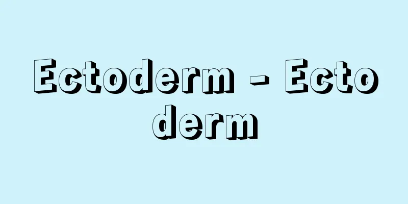 Ectoderm - Ectoderm