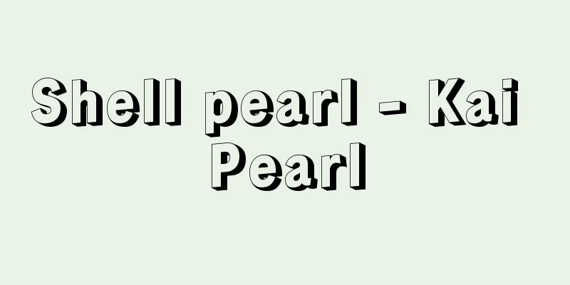 Shell pearl - Kai Pearl