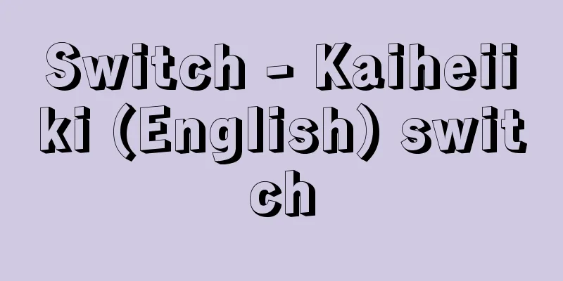 Switch - Kaiheiiki (English) switch