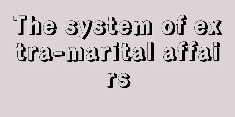 The system of extra-marital affairs