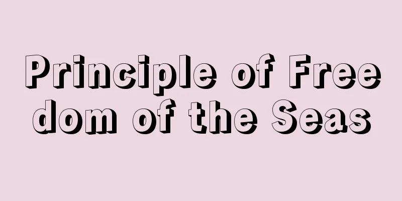 Principle of Freedom of the Seas