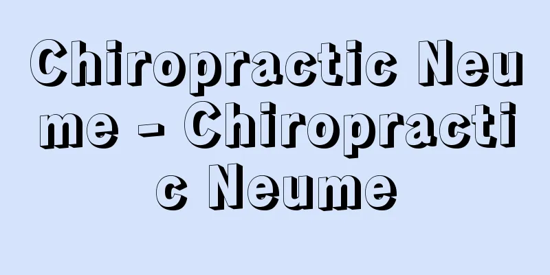 Chiropractic Neume - Chiropractic Neume