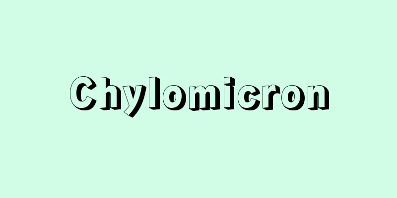 Chylomicron