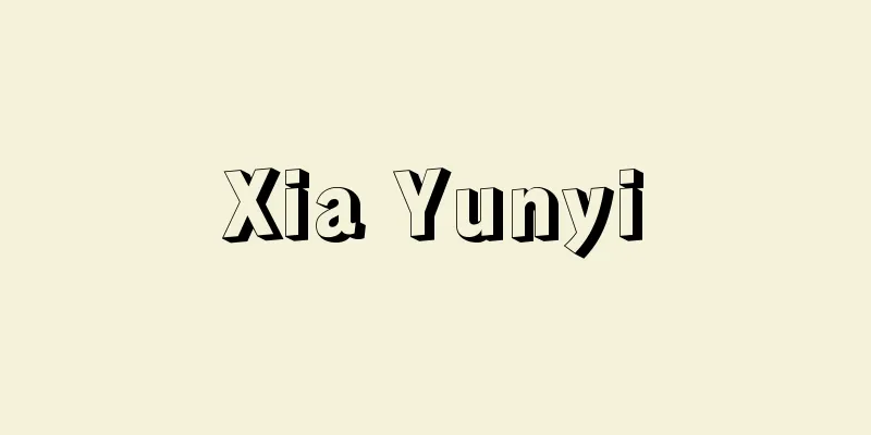 Xia Yunyi