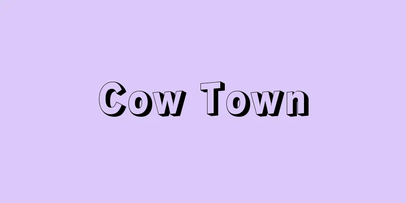 Cow Town