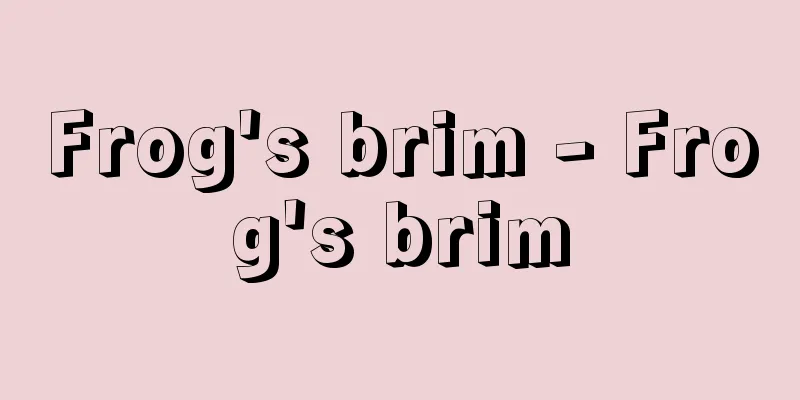 Frog's brim - Frog's brim
