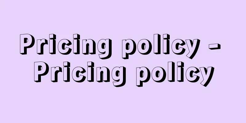 Pricing policy - Pricing policy