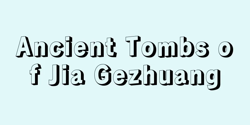 Ancient Tombs of Jia Gezhuang