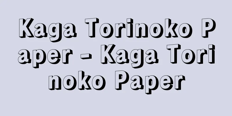 Kaga Torinoko Paper - Kaga Torinoko Paper