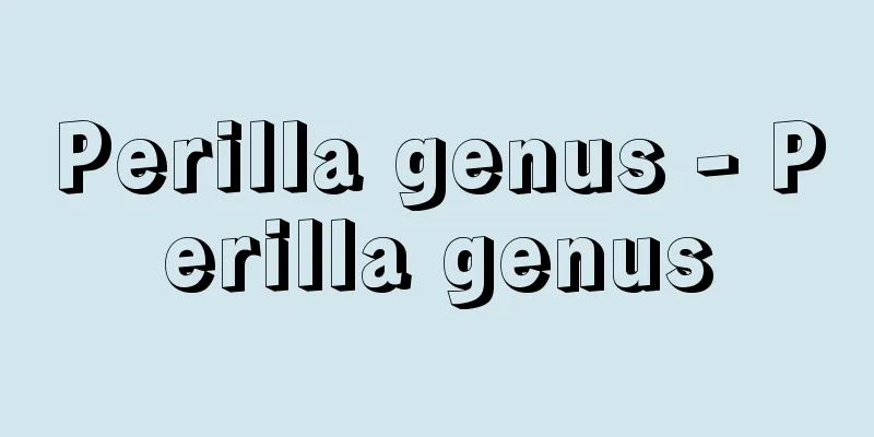 Perilla genus - Perilla genus