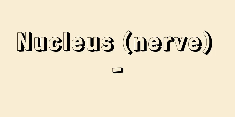 Nucleus (nerve) -