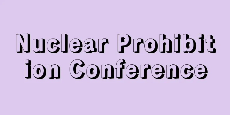 Nuclear Prohibition Conference