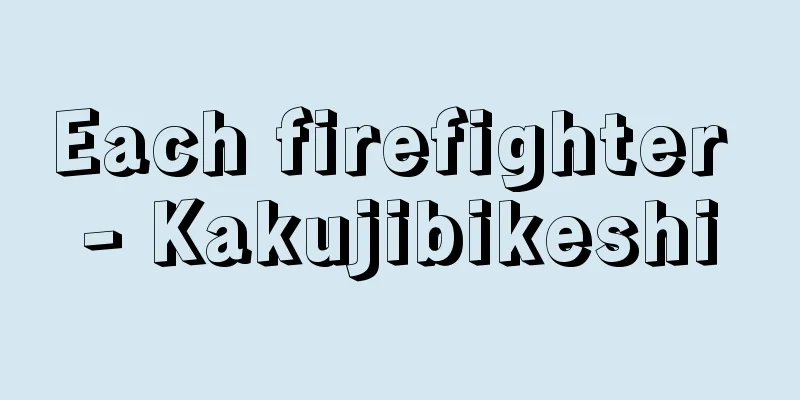Each firefighter - Kakujibikeshi
