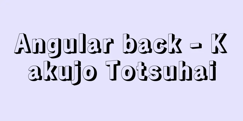 Angular back - Kakujo Totsuhai