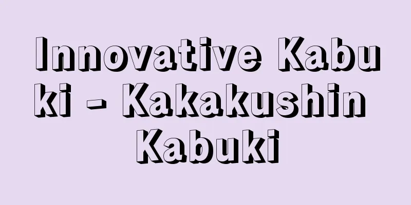 Innovative Kabuki - Kakakushin Kabuki