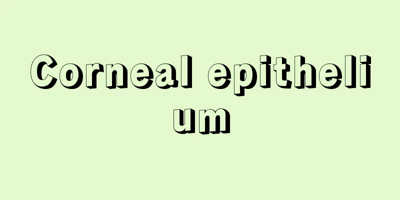 Corneal epithelium