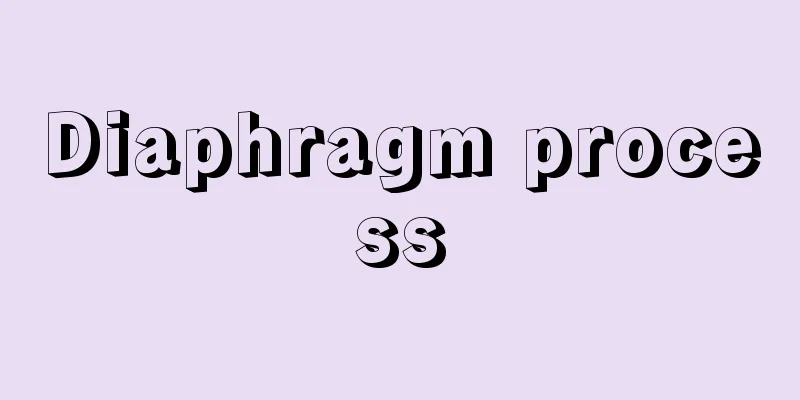Diaphragm process