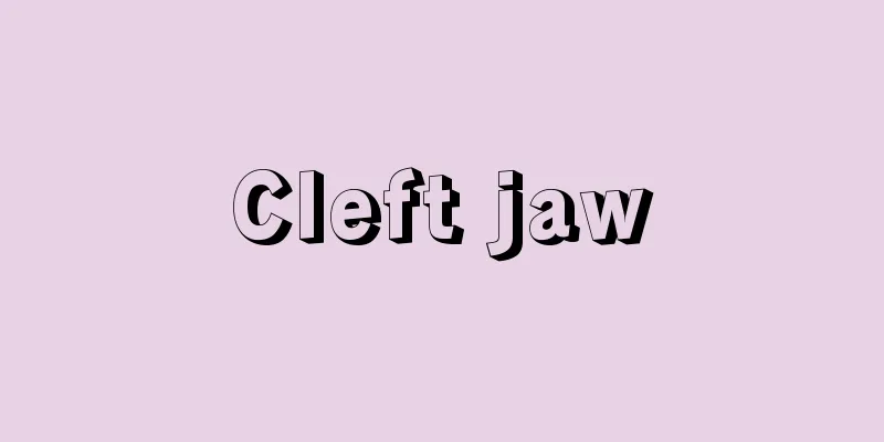 Cleft jaw