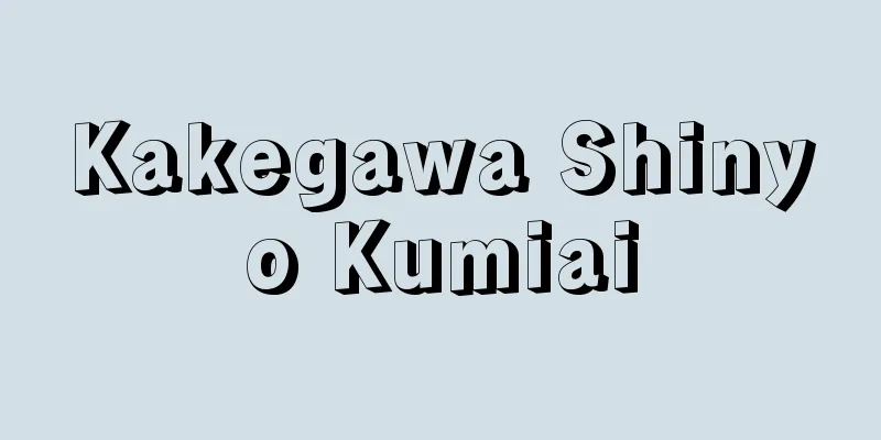 Kakegawa Shinyo Kumiai