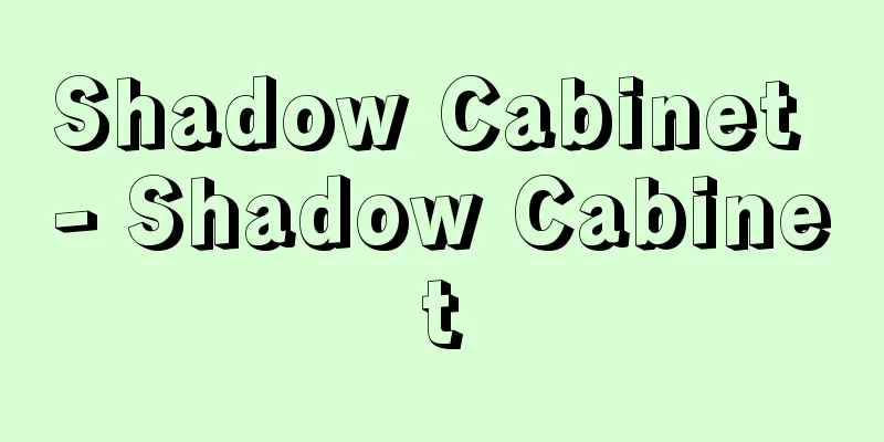 Shadow Cabinet - Shadow Cabinet