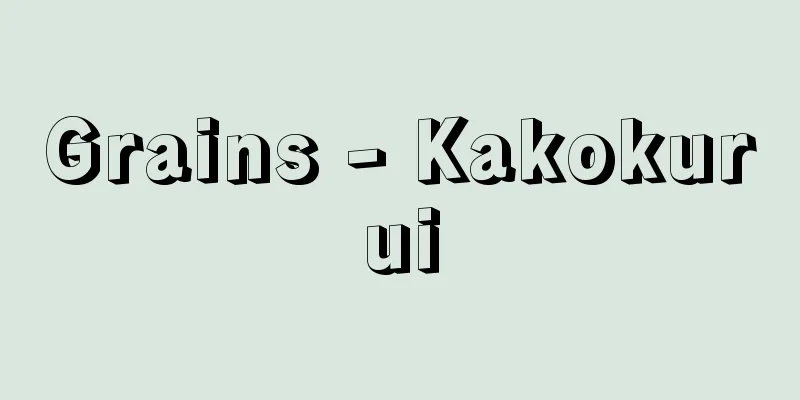 Grains - Kakokurui