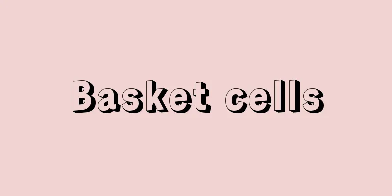Basket cells
