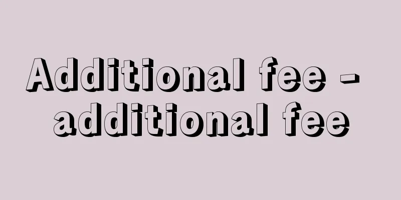 Additional fee - additional fee