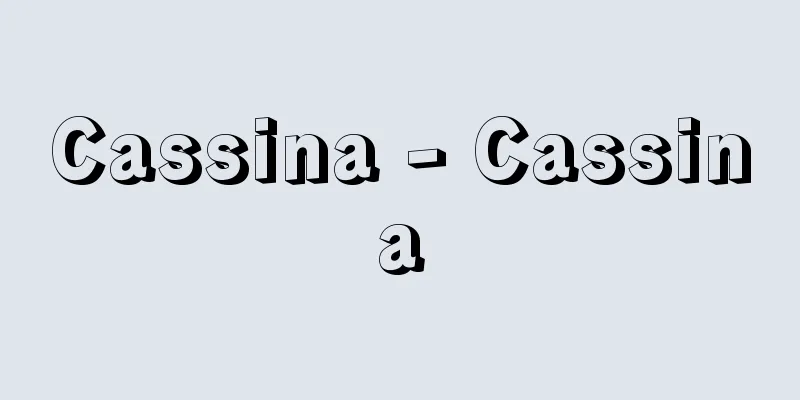 Cassina - Cassina