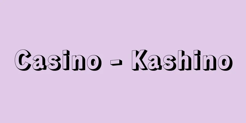 Casino - Kashino