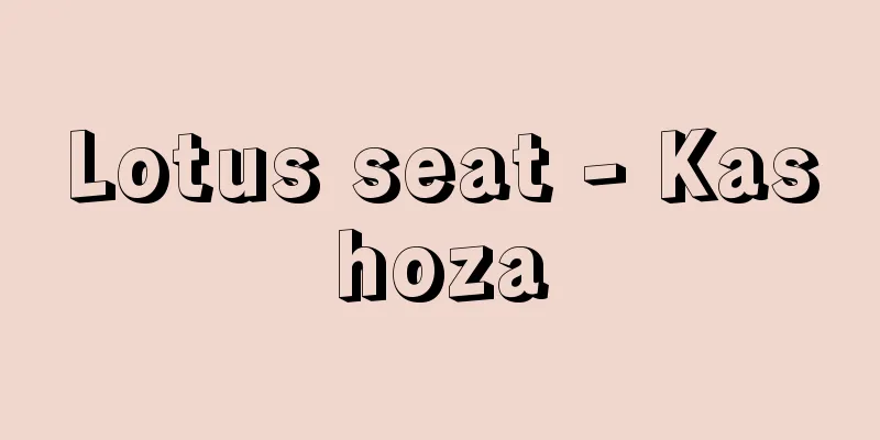Lotus seat - Kashoza