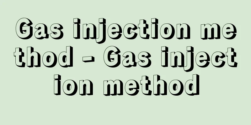 Gas injection method - Gas injection method