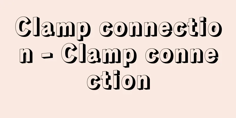 Clamp connection - Clamp connection