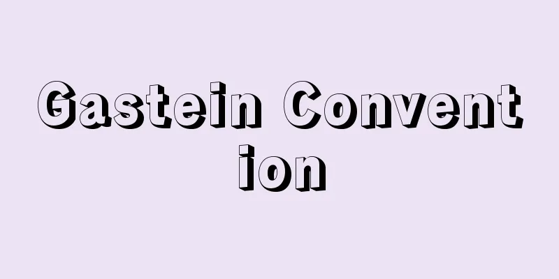 Gastein Convention