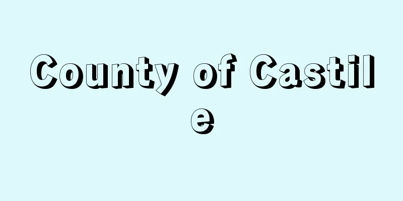 County of Castile