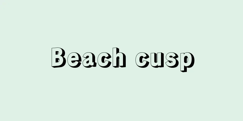 Beach cusp
