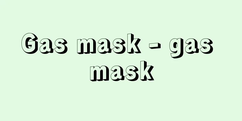 Gas mask - gas mask