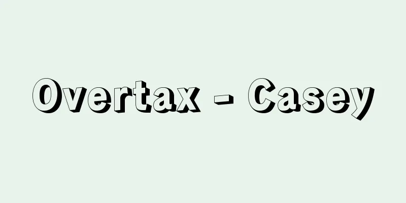 Overtax - Casey