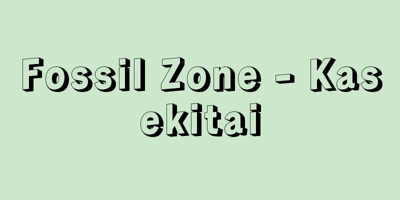 Fossil Zone - Kasekitai