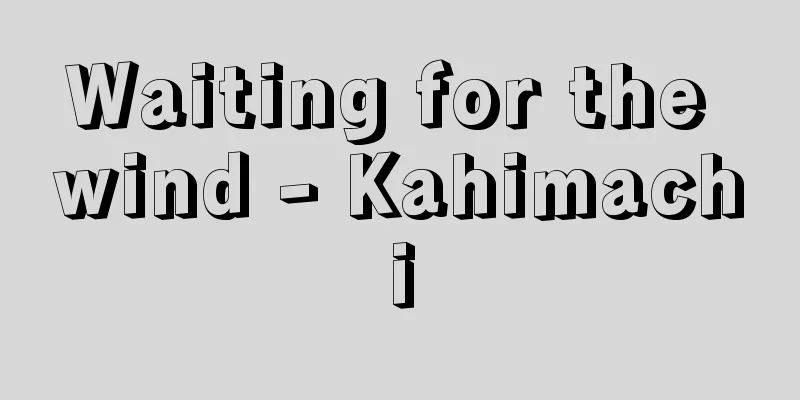 Waiting for the wind - Kahimachi