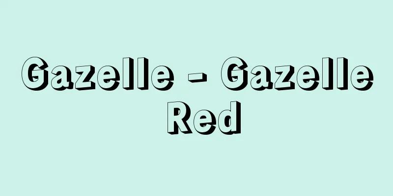 Gazelle - Gazelle Red